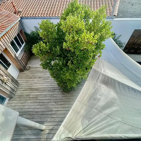 Jungle, Spacieuse Au Coeur Des Sables *
